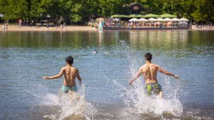 Umwelt: Seen im Saarland haben ausgezeichnete Wasserqualität