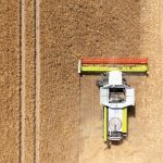 Agrar: Landwirte hoffen auf durchschnittliche Ernte