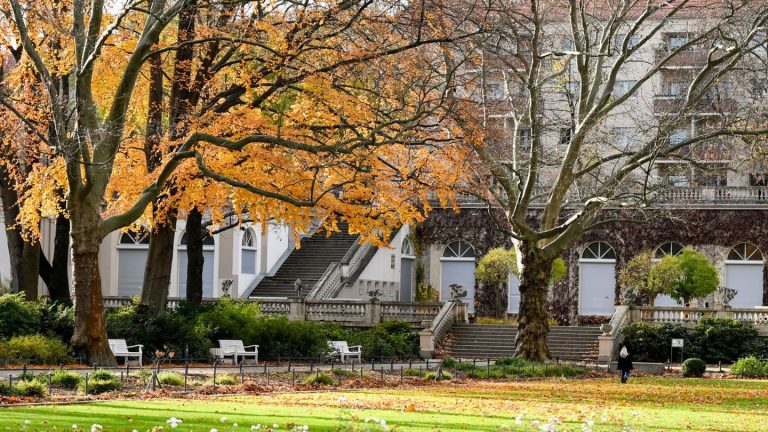 Messerattacke: Mann im Körnerpark erstochen: Verdächtiger festgenommen