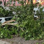 Vorhersage: Wetter in Berlin und Brandenburg: Wolkig und windig