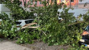 Vorhersage: Wetter in Berlin und Brandenburg: Wolkig und windig