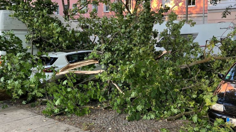 Vorhersage: Wetter in Berlin und Brandenburg: Wolkig und windig