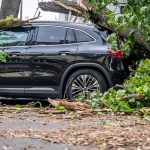 Unwetter: Nach Sturm-Chaos: Bahn-Verkehr in Berlin weiter gestört