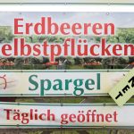 Erdbeeren zum Selbstpflücken: Gegen das Sattessen - Mindestabnahme auf dem Erdbeerfeld?