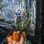 Wetter: Gefahr von Waldbränden in Bayern ist hoch