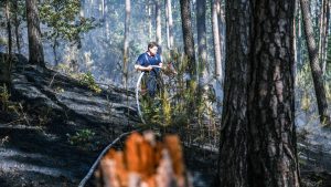 Wetter: Gefahr von Waldbränden in Bayern ist hoch