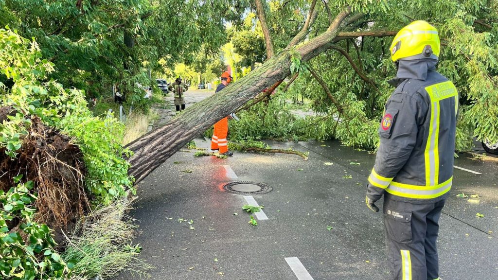 Unwetter: Unwetter ziehen über Teile Deutschlands