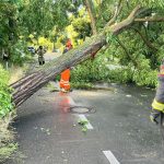 Unwetter: Unwetter ziehen über Teile Deutschlands