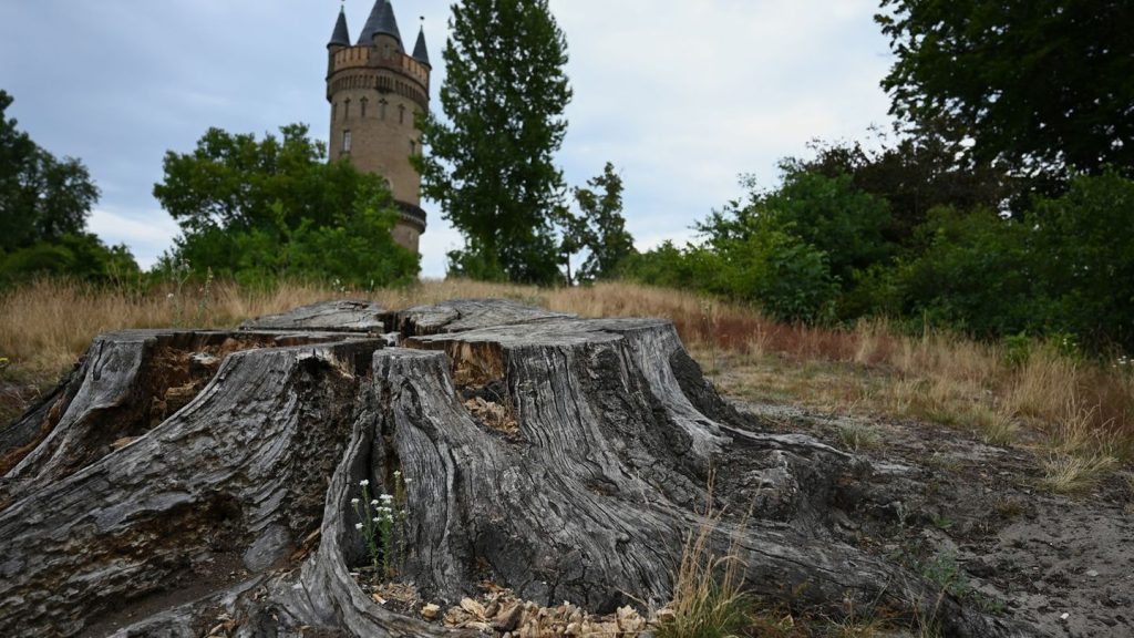 Brandenburger Parks: Gärten leiden unter Kimawandel - Land will gegensteuern