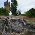 Brandenburger Parks: Gärten leiden unter Kimawandel - Land will gegensteuern