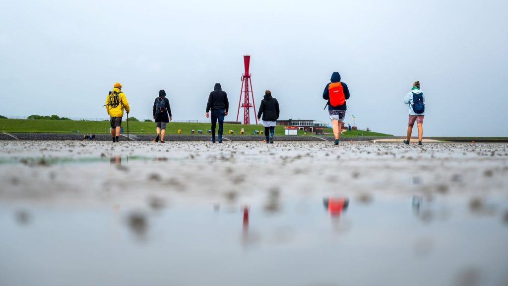 16 Jahre Unesco-Auszeichnung: Kostenlose Führungen - Wattenmeer feiert Welterbegeburtstag