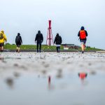 16 Jahre Unesco-Auszeichnung: Kostenlose Führungen - Wattenmeer feiert Welterbegeburtstag