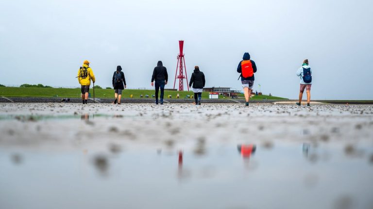16 Jahre Unesco-Auszeichnung: Kostenlose Führungen - Wattenmeer feiert Welterbegeburtstag