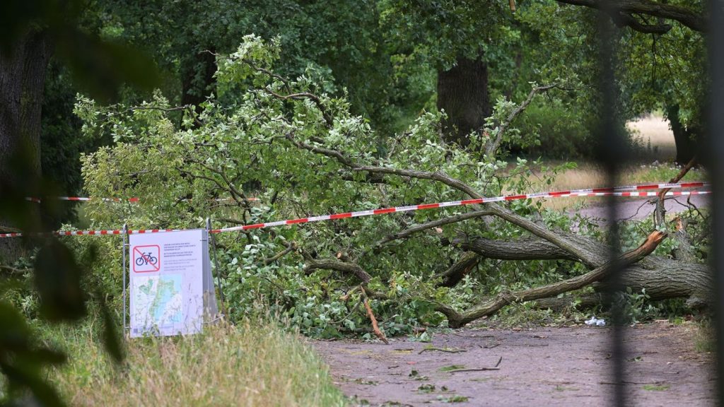 Sturmschäden: Bestandsaufnahme nach Sturm: Schwere Schäden in Brandenburg