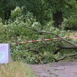 Sturmschäden: Bestandsaufnahme nach Sturm: Schwere Schäden in Brandenburg