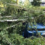 Unwetter: Nach Unwetter: Feuerwehr vor umfangreichen Aufräumarbeiten