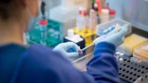 Coronavirus: WHO-Rat: China mauert - Ursprung des Coronavirus unklar