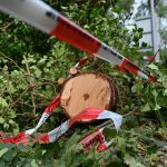 Unwetter: Große Schäden in Wäldern durch Unwetter - Feuerwehr am Limit