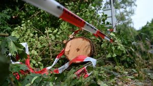 Unwetter: Große Schäden in Wäldern durch Unwetter - Feuerwehr am Limit
