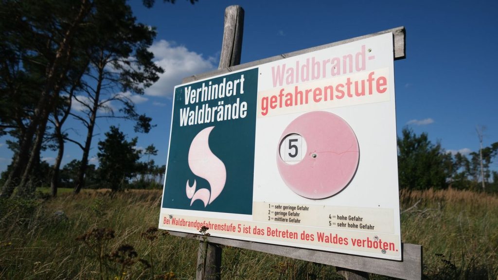 Hitzephase: Sachsen steht Hitzephase bevor - Waldbrandgefahr steigt