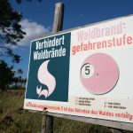Hitzephase: Sachsen steht Hitzephase bevor - Waldbrandgefahr steigt