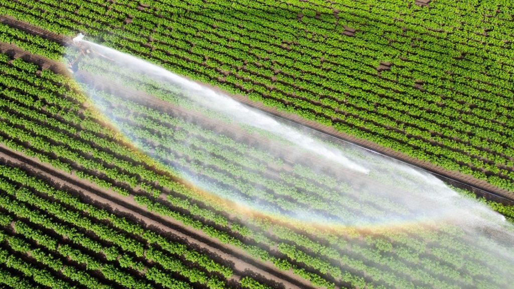 Klimawandel: Kommunen: Bürger auf Wasserknappheit bei Hitze vorbereiten