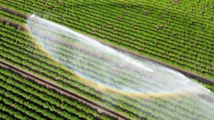 Klimawandel: Kommunen: Bürger auf Wasserknappheit bei Hitze vorbereiten