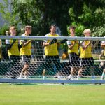 2. Bundesliga: Dynamo Dresden: Neuzugang und Trainingslager