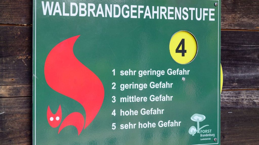 Trockenheit und Hitze: Zweithöchste Waldbrandwarnstufe in Teilen Thüringens
