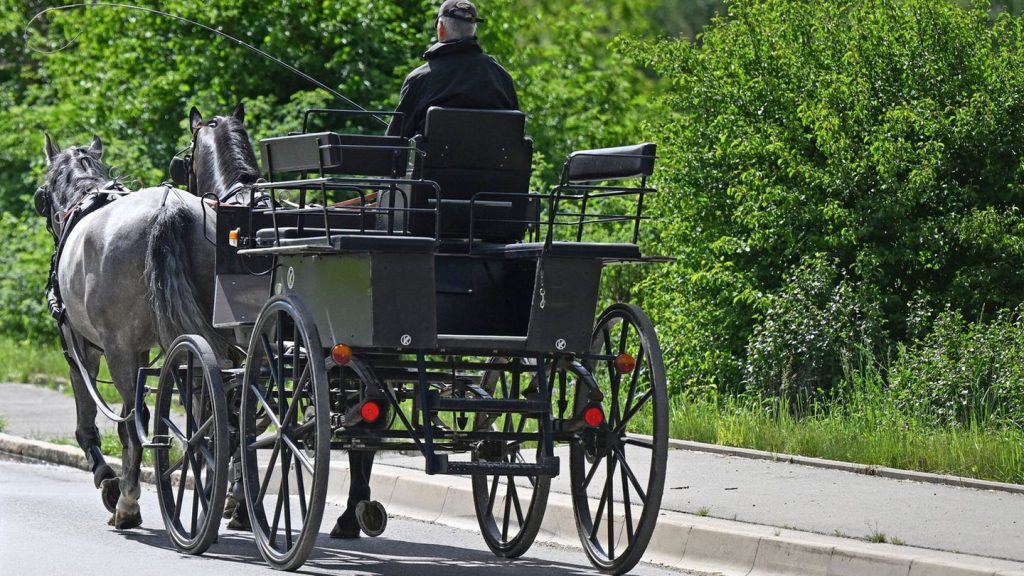 Tiere: Pferde rennen mit herrenloser Kutsche durch Altstadt