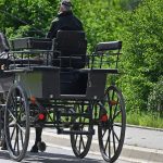 Tiere: Pferde rennen mit herrenloser Kutsche durch Altstadt