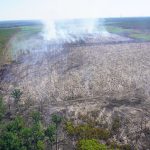 Waldbrände: Waldbrandschutzbeauftragter: Brauchen dringend Ehrenamtliche