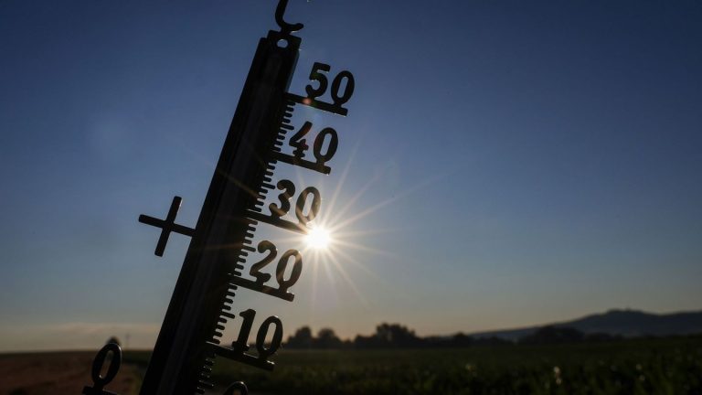 Wetter: Hitze in Hessen erwartet - bis zu 38 Grad