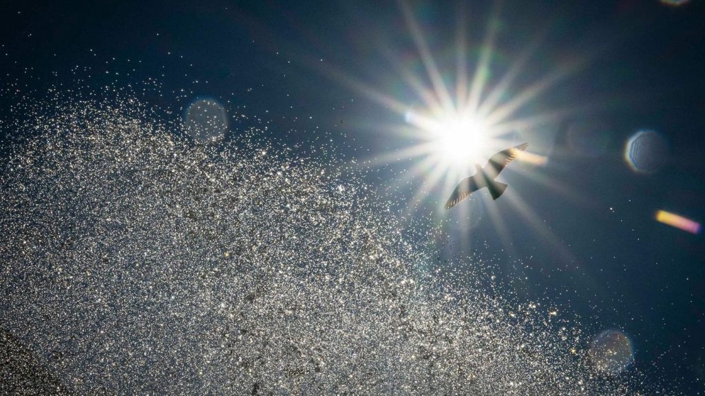 Wetter: Knapp 40 Grad - Bettina lässt Bayern schwitzen