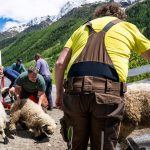 Katastrophe in Blatten: Schafhalter wird nach Gletscherabsturz vermisst – das ist über ihn bekannt