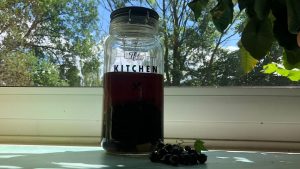 Nur 5 Zutaten: Cassis-Likör: Raffiniertes Rezept aus schwarzen Johannisbeeren