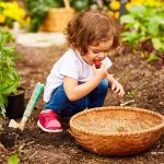 Tipps & Tools: Pflegen, naschen, säen: Wie Gartenarbeit im Juni besonders viel Spaß macht