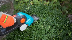 Sommersaison: Gardena Akku-Grasschere für 69 statt 115 Euro: Garten-Angebote am Mittwoch