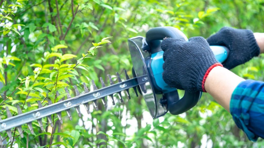 Kraut & Dübel: Gardena Akku-Heckenschere für 65 statt 110 Euro: Garten-Angebote am Montag