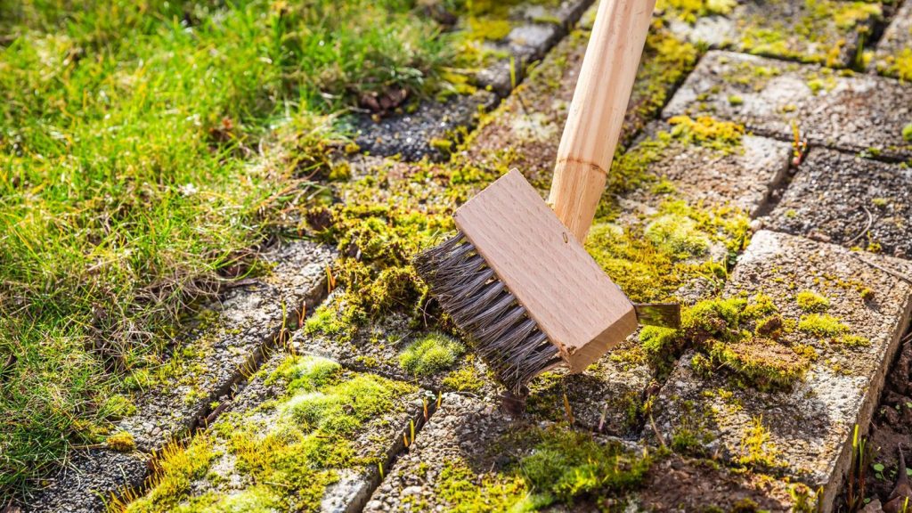Gartentipps: Moosfreie Pflastersteine – diese drei Methoden helfen wirklich