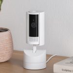 360-Grad-Rundumblick: Guck mal, wer da spricht: Die neue Ring-Haustierkamera im Test