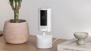 360-Grad-Rundumblick: Guck mal, wer da spricht: Die neue Ring-Haustierkamera im Test