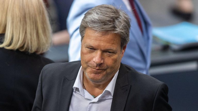 Neuer Job: Medienbericht: Robert Habeck soll an US-Universität lehren