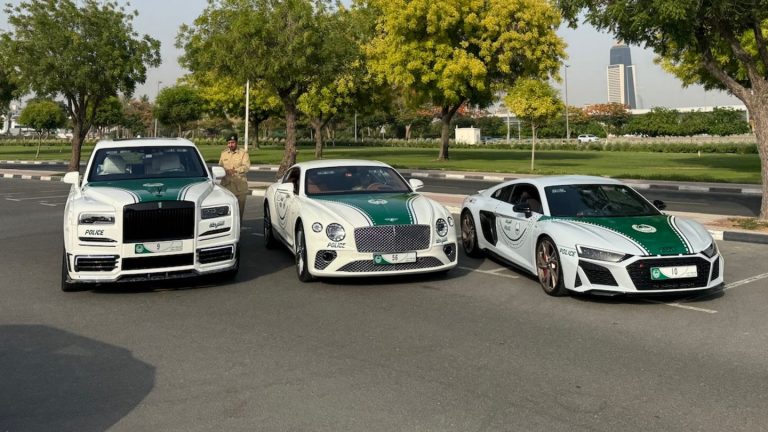 Luxusautos: Unterwegs in der Autoszene Dubai: Wenn die Polizei Rolls-Royce fährt