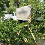 Unwetter: Verletzte bei Sturm in Berlin – S-Bahn-Verkehr eingestellt