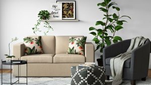 Wohntrend: Urban Jungle: Tipps und Tricks für den Heim-Dschungel