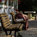 Wetter: Diakonie: Bei Hitze Gebäude für Obdachlose öffnen