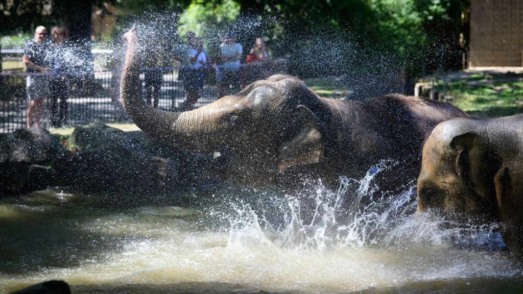 Wetter: Hitzetage in Berlin und Brandenburg erwartet