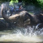 Wetter: Hitzetage in Berlin und Brandenburg erwartet