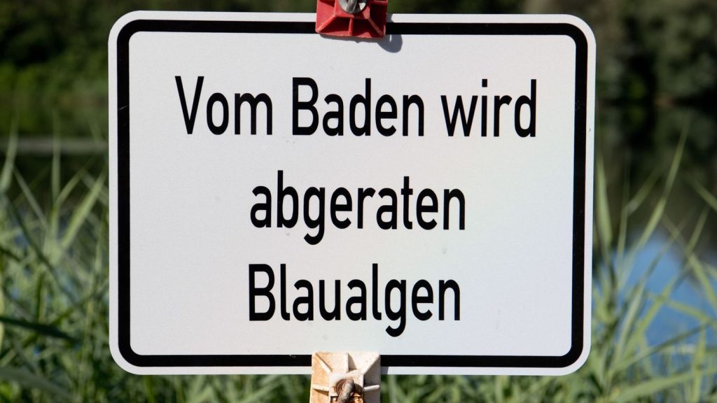 Gesundheit: Blaualgen in Talsperre Bautzen: Amt rät vom Baden ab